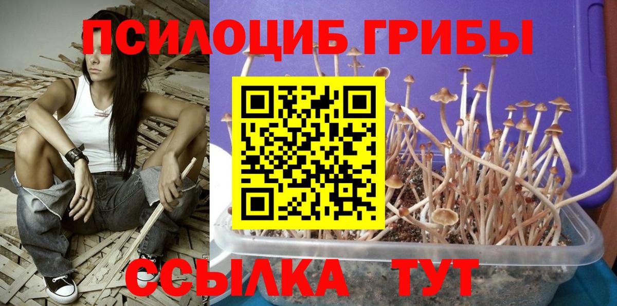 Псилоцибиновые грибы GOLDEN TEACHER Ирбит