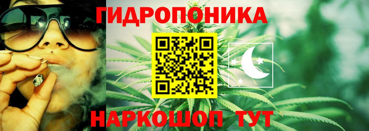 Каннабис конопля Ирбит